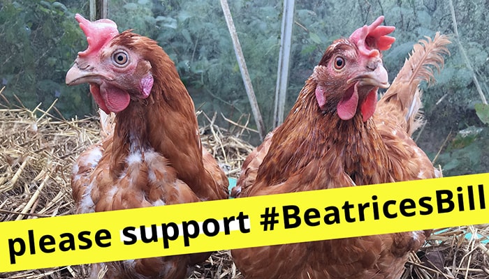 Beatrice Bill End the Cage Age