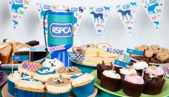 cakes, bunting and collection box on a table © RSPCA