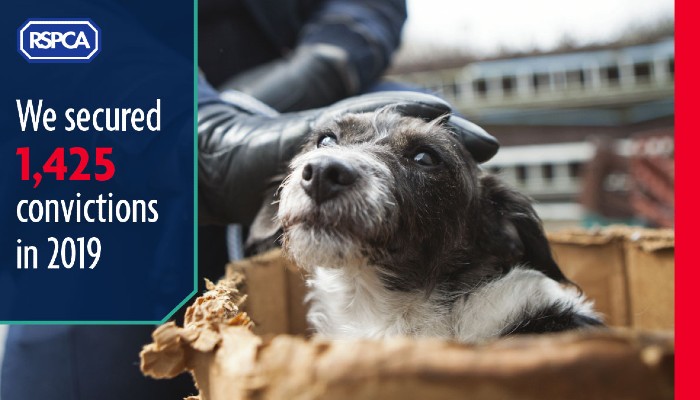 How We're Working to End Cruelty To Animals | RSPCA How We're Working to End Cruelty To Animals | RSPCA
