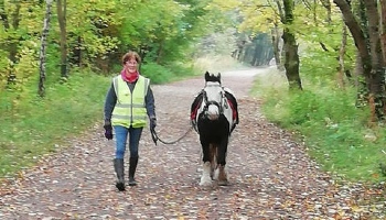 Dave on his walking journey © RSPCA