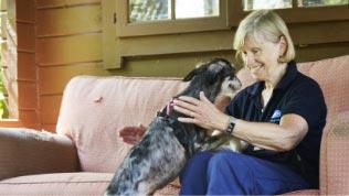 Volunteer at RSPCA animal centre