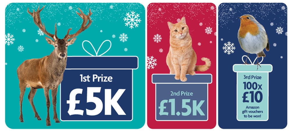 RSPCA charity raffle | RSPCA