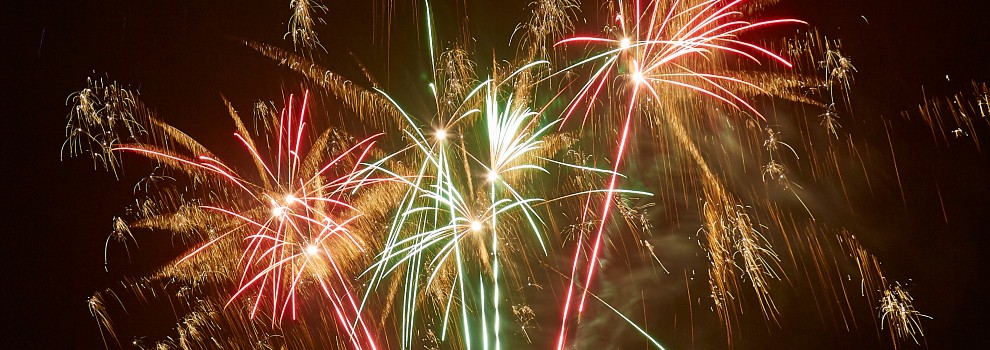 Fireworks in the night sky © RSPCA