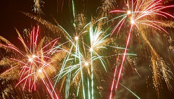 Bangoutoforder Make Fireworks Less Frightening For Animals Bangoutoforder Make Fireworks Less Frightening For Animals