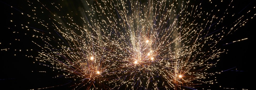 Fireworks at night © RSPCA