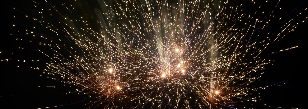 How To Keep Your Pets Safe During Fireworks | RSPCA How To Keep Your Pets Safe During Fireworks | RSPCA
