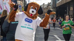 Team animal dog mascot at fundraiser
