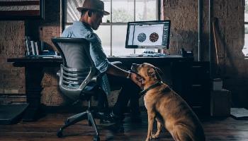 Man and dog working from home
