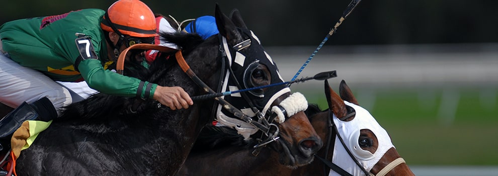 jockey riding racehorse with whip visible © RSPCA