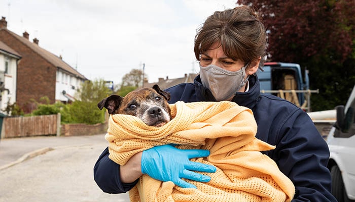 RSPCA inspector holding rescued dog in blanket © RSPCA