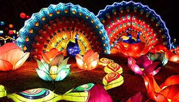 paper lanterns can be used for celebrating with instead of fireworks