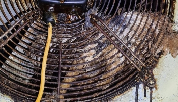Owl stuck in extractor fan © RSPCA