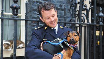 RSPCA Inspector and dog outside 10 Downing street