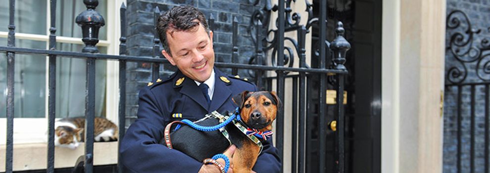 How we prosecute to protect animals | RSPCA