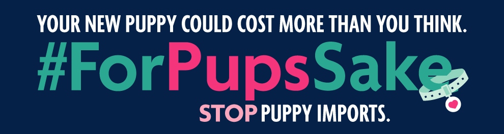 Stop puppy imports © RSPCA