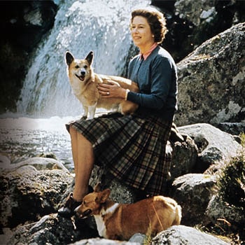 The Queen and her Corgis