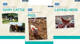 RSPCA welfare standards guides