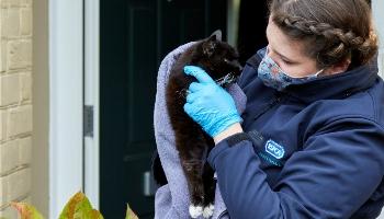 Cat rescued by RSPCA