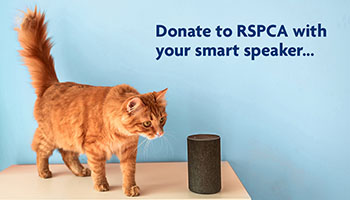 donate with a smart speaker banner image © RSPCA