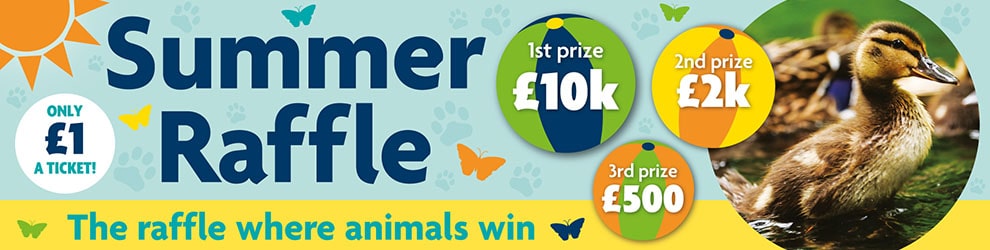 RSPCA Summer Raffle 2022