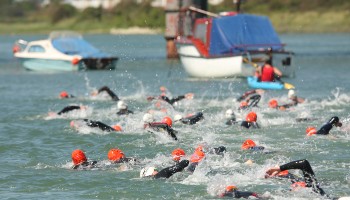 Swimmers in the water