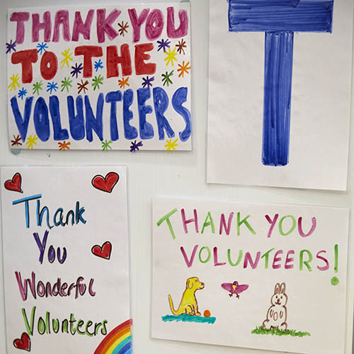 Thank you to RSPCA volunteers