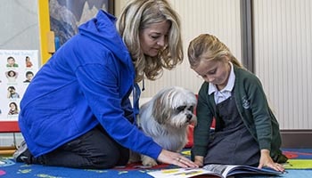 Chilli the therapy dog