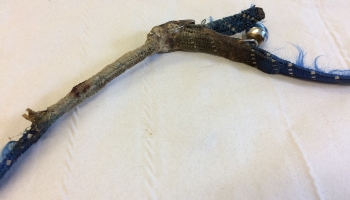 Regular collars are a serious risk to cats © RSPCA