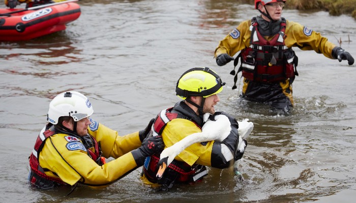Our water rescue team with the swan © RSPCA