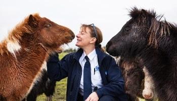 RSPCA inspector with horses