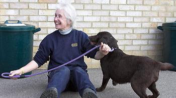 smiling woman sitting on the floor next to black dog holding a purple lead ©