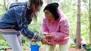 Girls collecting animal field signs and objects in woodland © Andrew Forsyth/RSPCA
