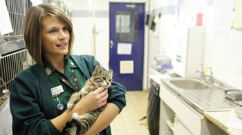 a vet nurse holding kitten © RSPCA