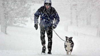 walking dog in winter