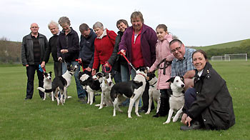 dog owners with collies on a field © RSPCA