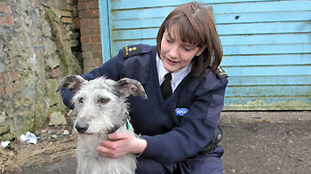 Annual General Meeting Rspca Org Uk
