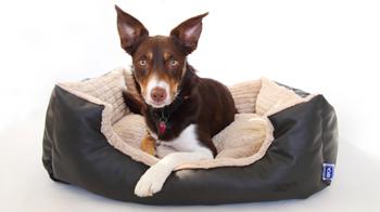 CP Designs dog bed © CP Designs