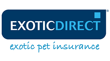 Exotic direct logo