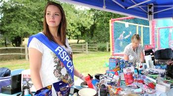 Volunteer working on a fundraising stall at dog show