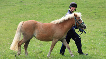 groom walking with a horse in a field © RSPCA