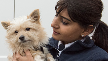 rspca inspector holding dog © RSPCA