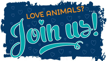 Love animals poster © RSPCA