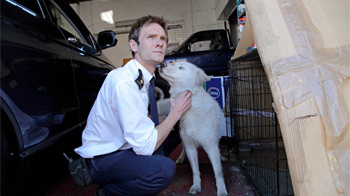 rspca inspector crouching down to dog © RSPCA