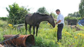 RSPCA inspector stroking horse's nose in an overgrown outdoor space © RSPCA