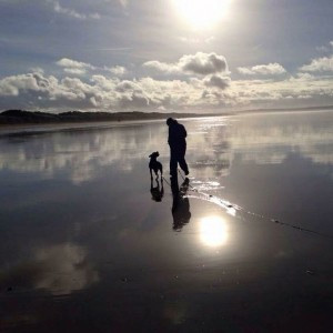 Kacey the dog walking on the beach
