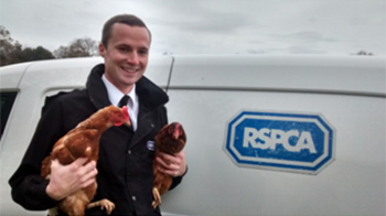 RSPCA inspector holding two hens under his arms © RSPCA
