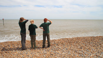 three people on the beach looking out to sea © RSPCA