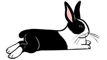 relaxing rabbit illustration © RSPCA