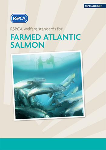 RSPCA welfare standards for farmed Atlantic salmon cover © RSPCA Farm Animals Department