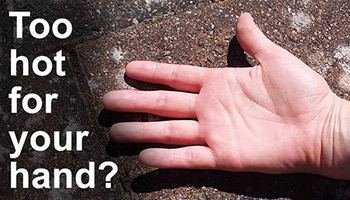 If the pavement is too hot for your hand it's too hot for your dogs paw © RSPCA